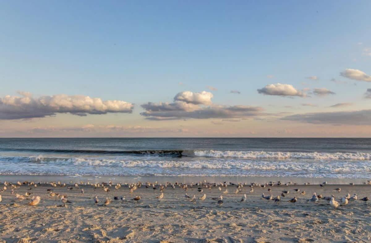 Villa *Oceanfront*Tons Of Amenities*Compass Cove*S107 Myrtle Beach Exterior foto